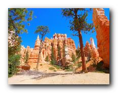 Bryce Canyon NP 27.jpg